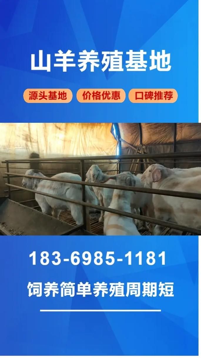 积石山保安族东乡族撒拉族自治县通报1例阳性感染者详情_积石山地址