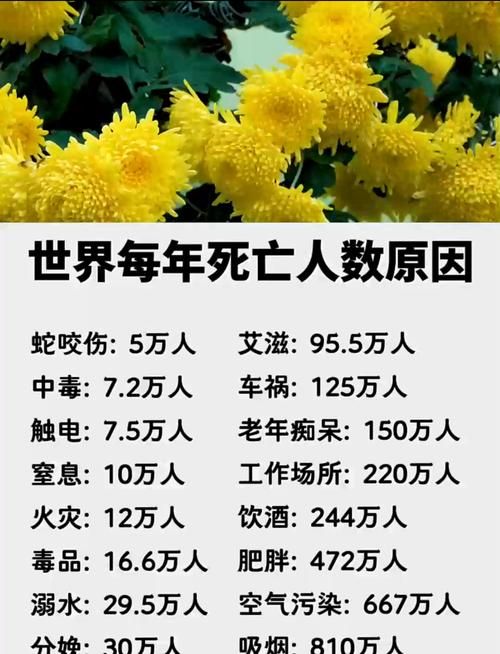 全球近期新增19例死亡病例_全球每日新增死亡