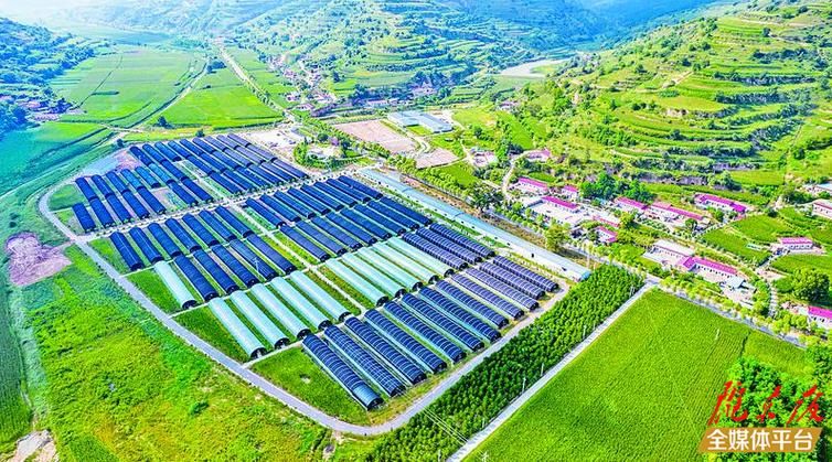 庆阳市最新通告:所有人员封城_庆阳疫情防控最新通知