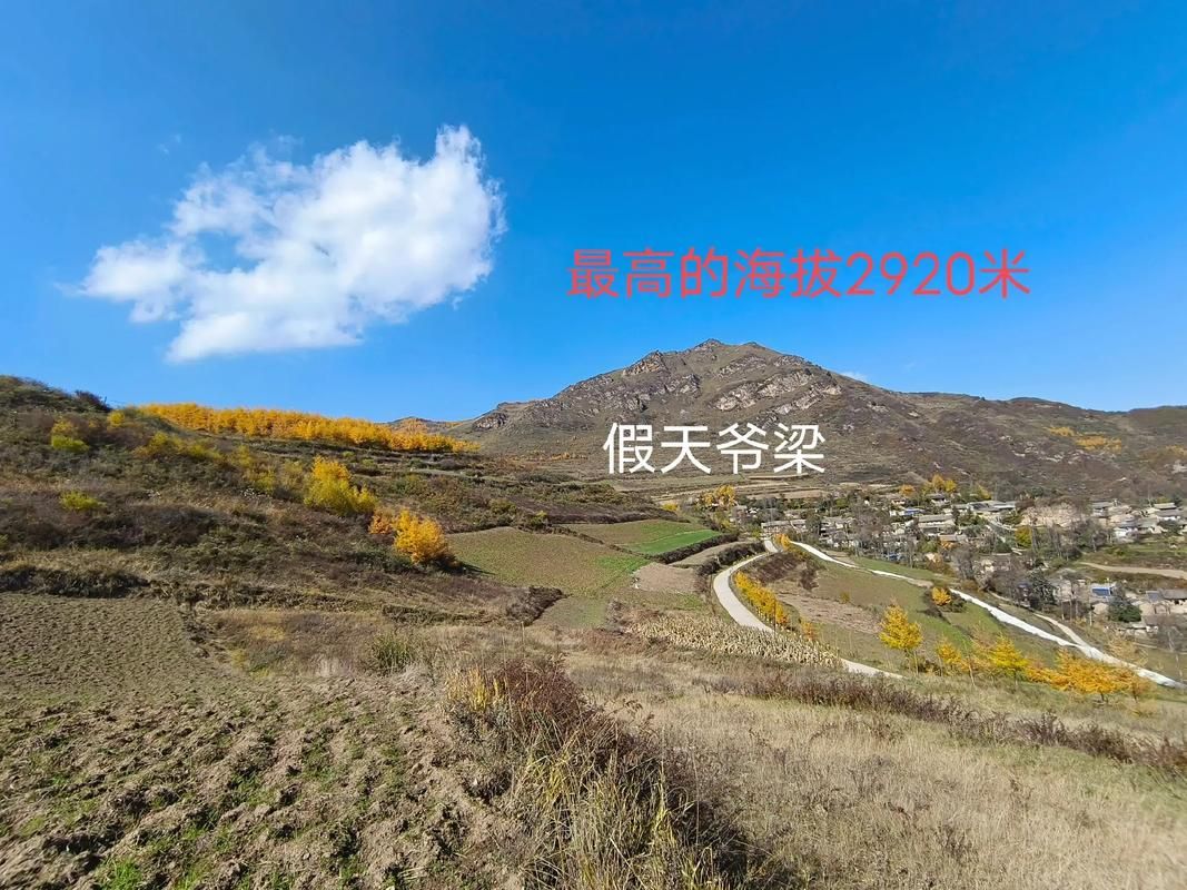 甘肃天水武山县近期新增6例境外输入病例_天水武山县是哪个省