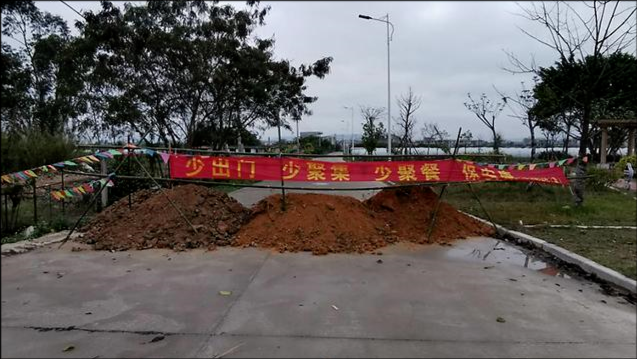 一张图看懂华坪县昨日疫情数据(华坪县封城了吗)