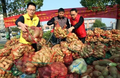 包含安徽省芜湖市安徽芜湖三山经济开发区新增30例核酸阳性,从境外抵集宁区的词条