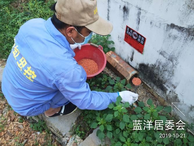 一张图看懂海南省儋州市兰洋镇近3天病例通报_儋州市兰洋镇有多少个村
