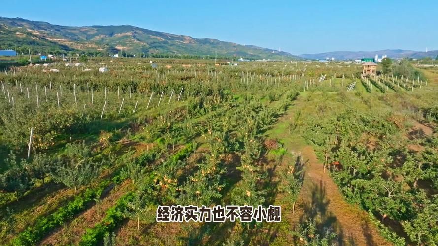 【预计10月10日甘肃平凉静宁县二次疫情爆发,甘肃平凉静宁简介】