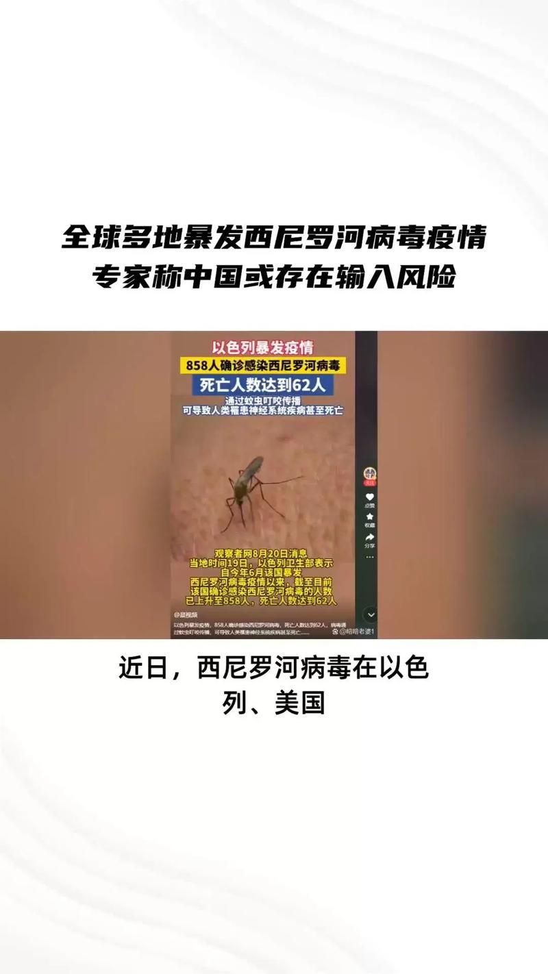 全球新增6例均为境外输入/全球新增确诊病例