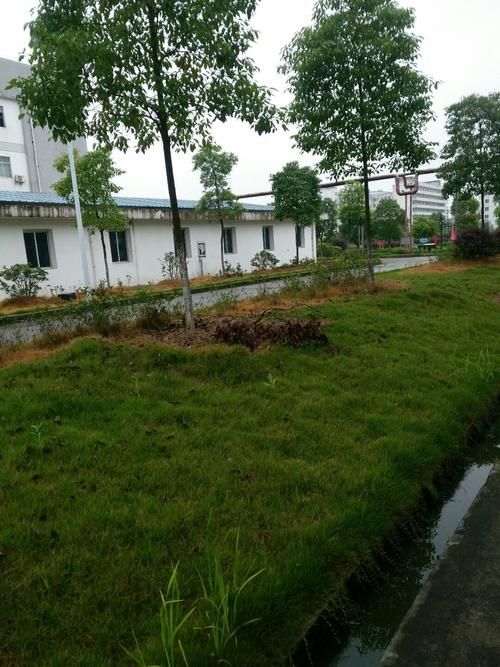 【江西宜春袁州区5月15日新增死亡病例29例,江西宜春袁州区今日新闻】