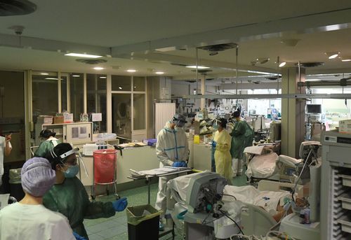 7地新增死亡病例19例平乐县8例(平乐县最新新闻)