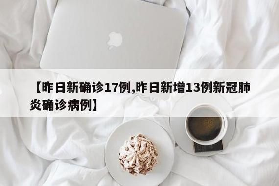 【31个省份昨日新增1例境外输入_31省份昨增17例确诊 均为境外输入】