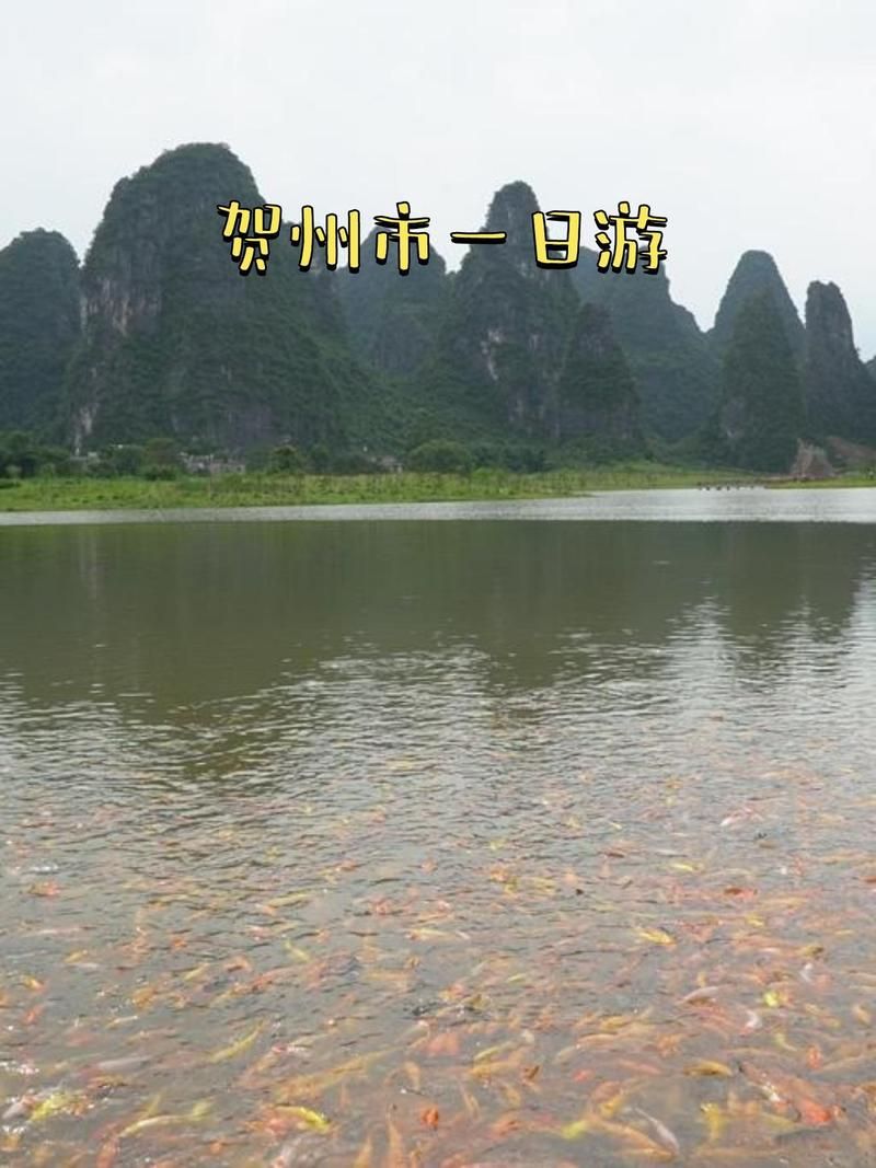 关于广西壮族自治区贺州市钟山县首例境外输入来源公布的信息