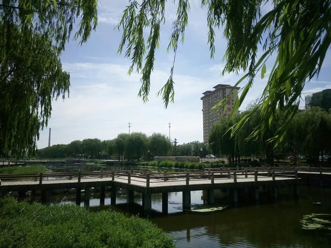 山东省烟台市莱州市11月20日新增破15/烟台莱州有新冠吗