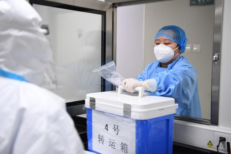 31省新增1例核酸阳性涉16省市_31省新增确诊