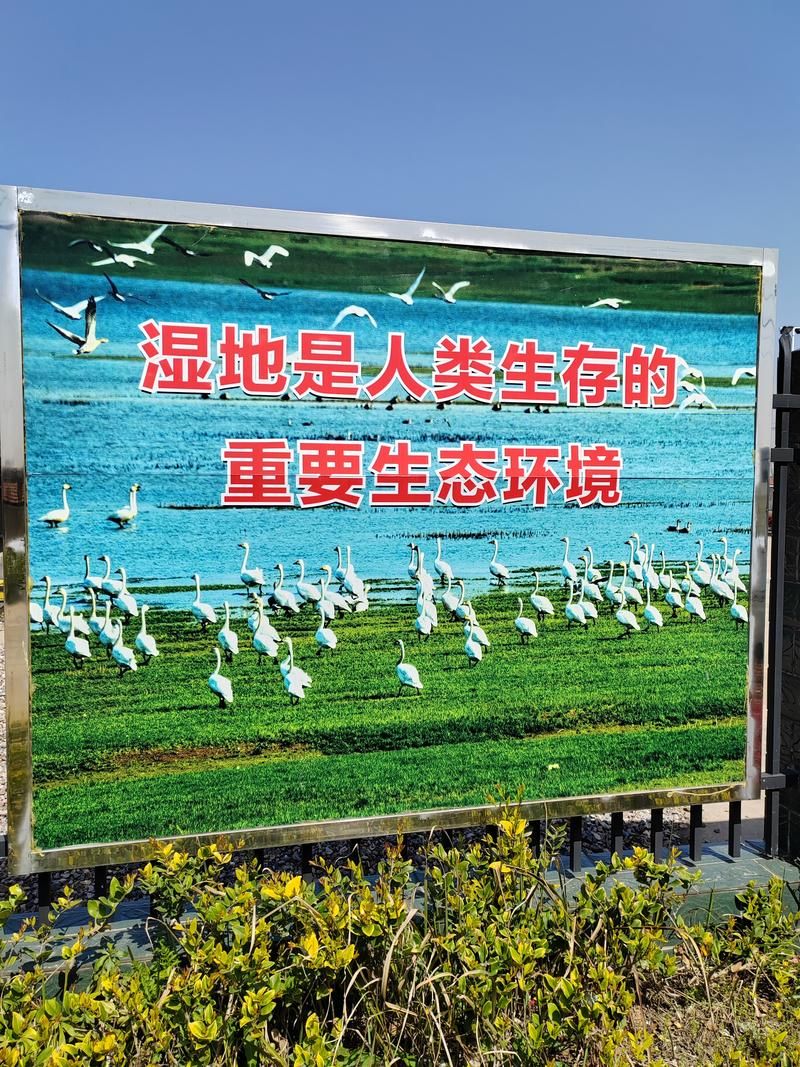 龙感湖管理区新增境外输入1例，均在临澧县_龙感湖国家湿地保护区