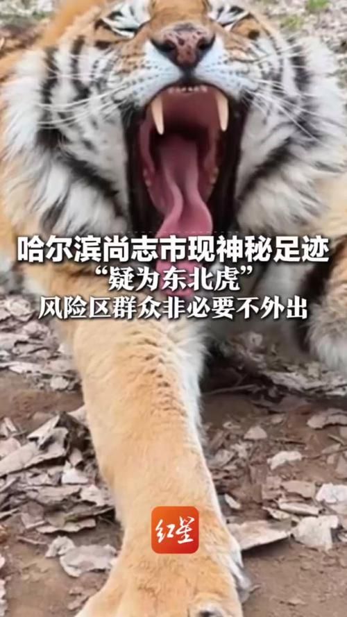  黑龙江哈尔滨尚志3月14日新增18例境外输入病例:哈尔滨尚志市疫情风险等级