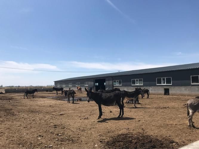 米东区现有阳性感染者29例_米东区属于哪个市