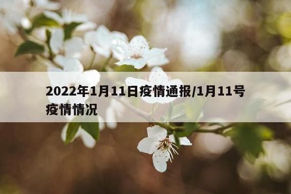 【警方通报海南海口美兰区疫情最新情况_海口美兰区疫情防控】