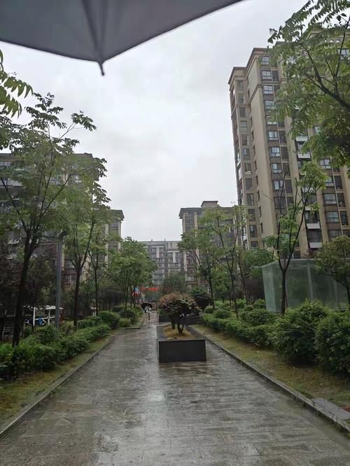 专家:福建省三明市三元区每年或现多个感染高峰(福建省三明市三元区有什么小区)