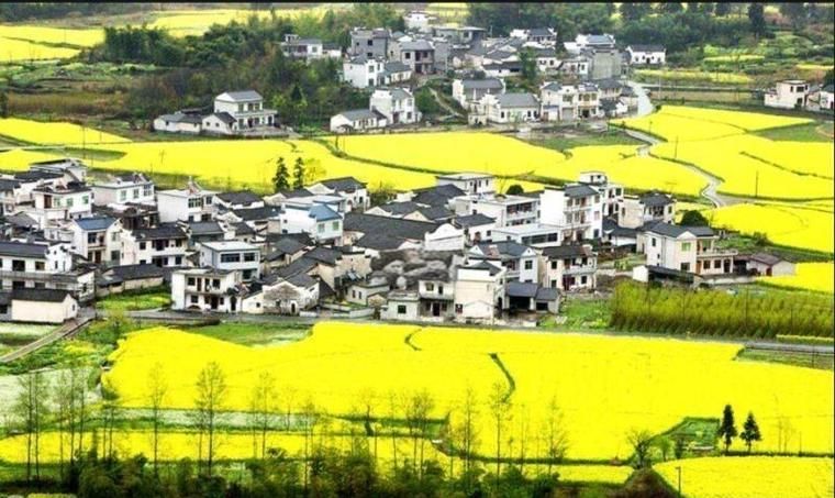 安徽黄山最新疫情/安徽黄山最新疫情最新消息