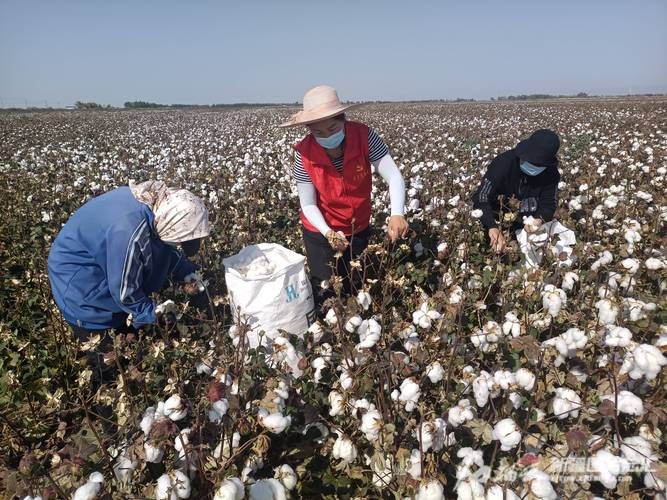 【查找最新疫情乌苏_乌苏疫情防控最新消息】