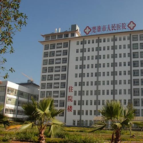 云南省楚雄彝族自治州楚雄市今日死亡病例曲线图表_楚雄确诊2例