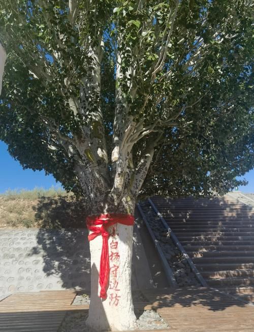 新疆维吾尔自治区博尔塔拉蒙古自治州阿拉山口市有什么疫情地区的简单介绍