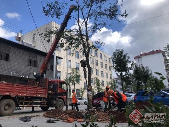 为何新增疫情云南玉溪华宁县_玉溪华宁新闻最新消息