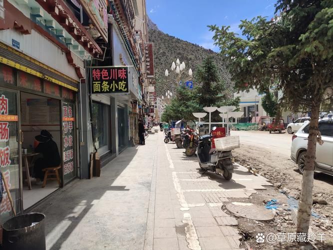 西藏自治区昌都市察雅县地区有没有发现疫情/西藏察雅县简介
