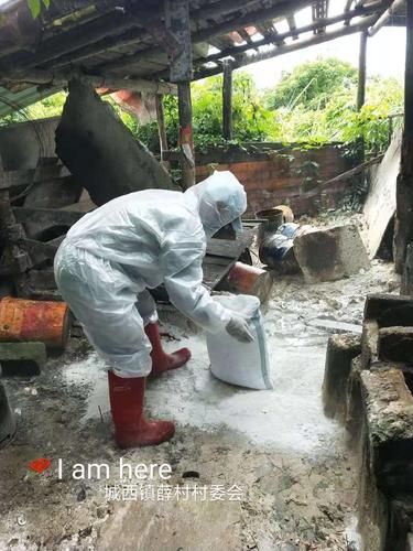 广东省惠州市惠城区疫情最新消疫情况_惠州惠城区疫情防控最新消息