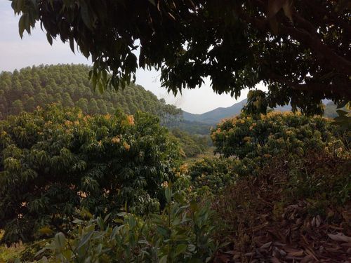 【发现1名密接者!广西壮族自治区钦州市灵山县_广西钦州灵山县疫情最新消息】