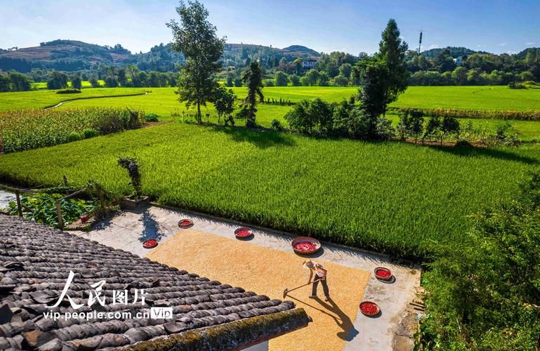 贵州省毕节市黔西市疫情严重吗/毕节地区黔西县