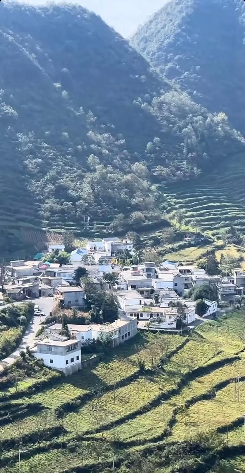 专家:镇雄县每年或现多个感染高峰/镇雄县有疫情吗