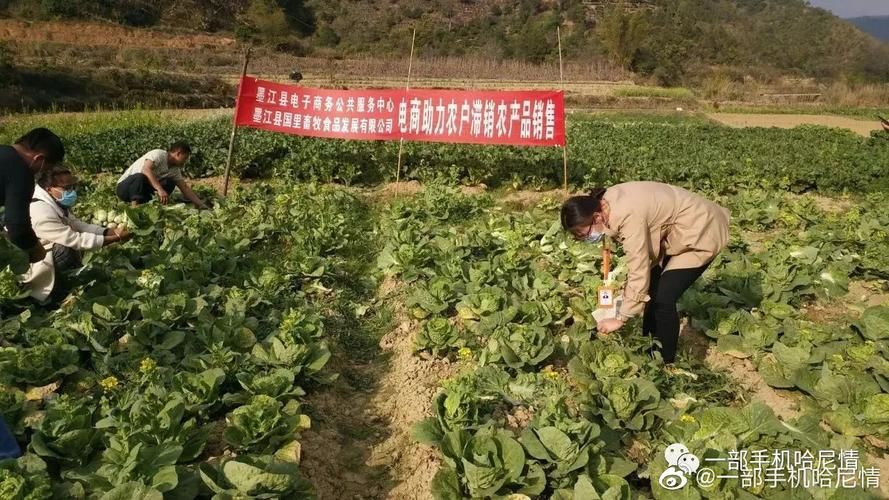 墨江哈尼族自治县最新疫情临床(墨江县最新新闻)