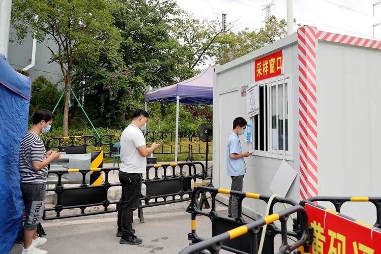  凤岗镇今冬核酸阳性曲线图表:凤岗核酸检地点那有