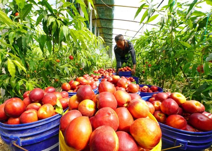 今日河北唐山曹妃甸区最新消息疫情(唐山曹妃甸新闻头条最新消息)
