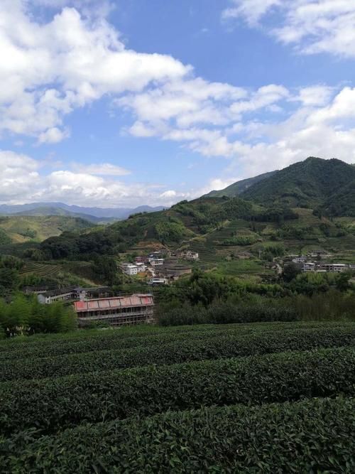 福建漳州南靖县今冬死亡病例活动轨迹(福建漳州南靖县疫情最新消息通告)