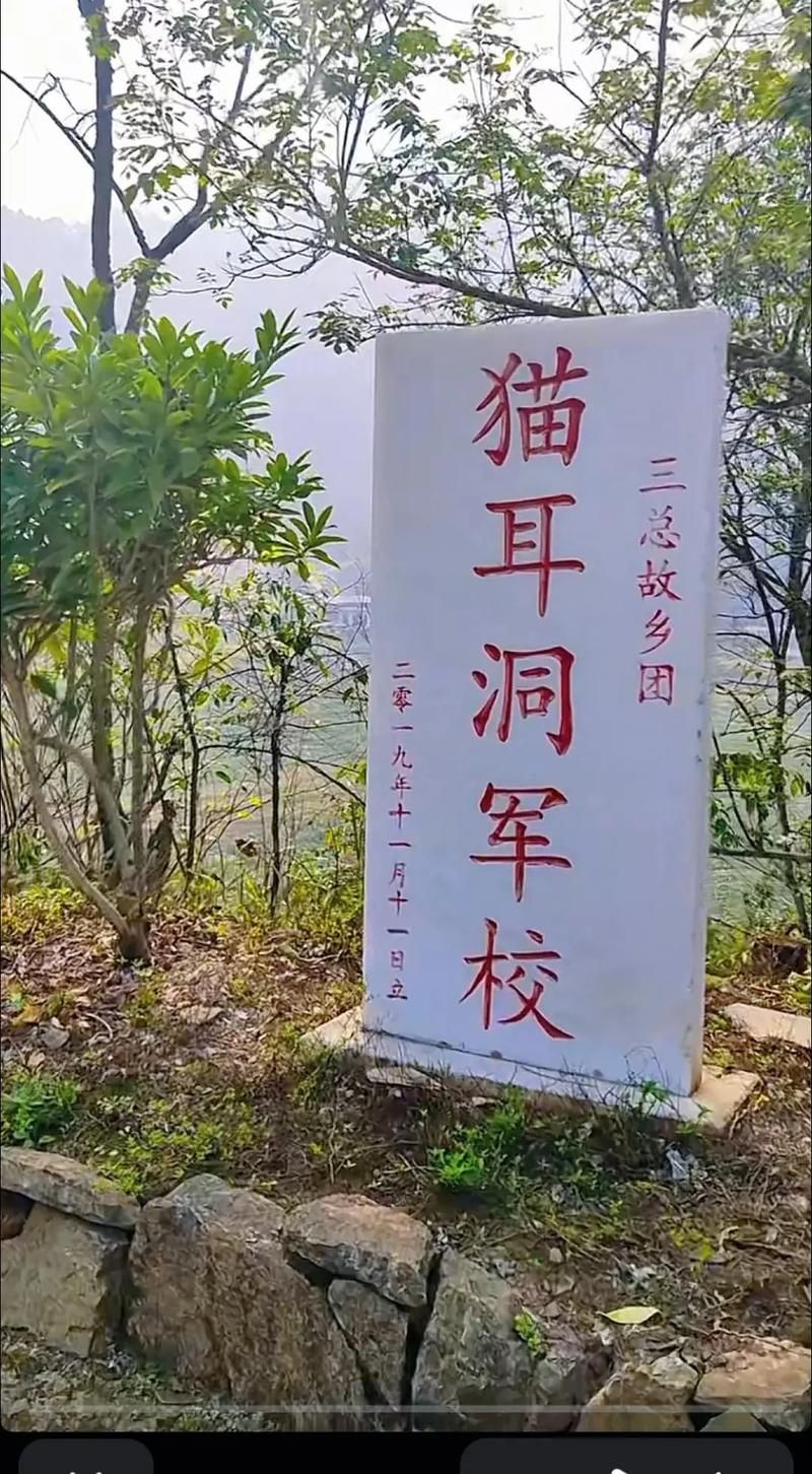 【麻栗坡县哪里地区有疫情了呢,麻栗坡县城属于哪个镇】