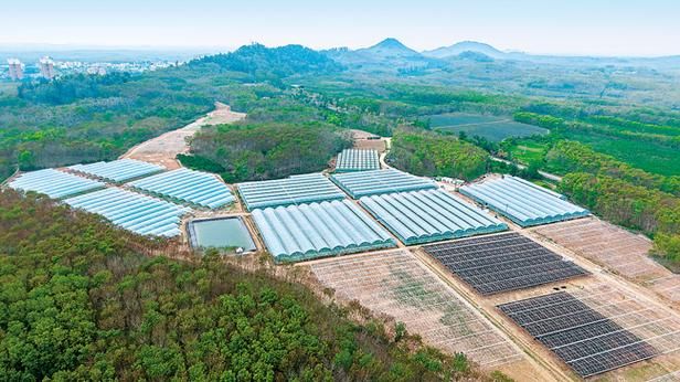 海南省儋州市雅星镇最新疫情:海南儋州雅星未来发展