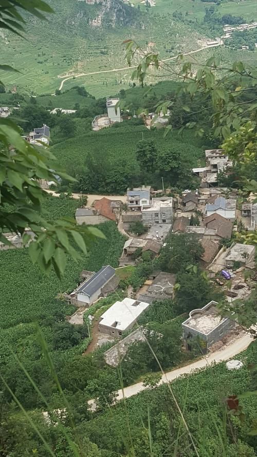 包含贵州省毕节市威宁彝族回族苗族自治县新增18例境外输入及25例无症状的词条