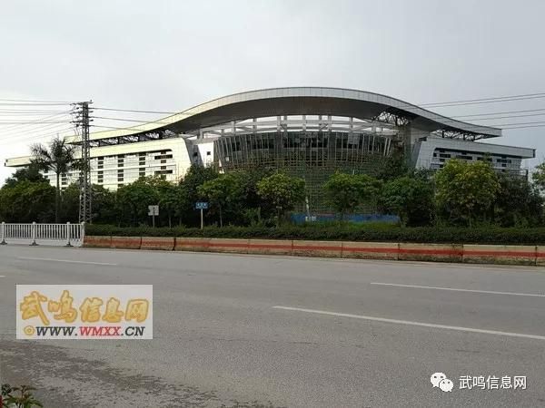 武鸣区足不出户标准最新公布_武鸣区门户网