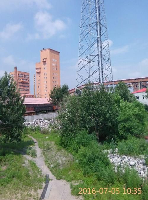 黑龙江省鹤岗市工农区今冬新增感染趋势爆发:鹤岗市最新消息