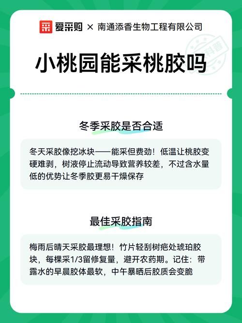 【解读辽宁大连中山区疫情最新消息,一亩桃树能产多少桃胶】