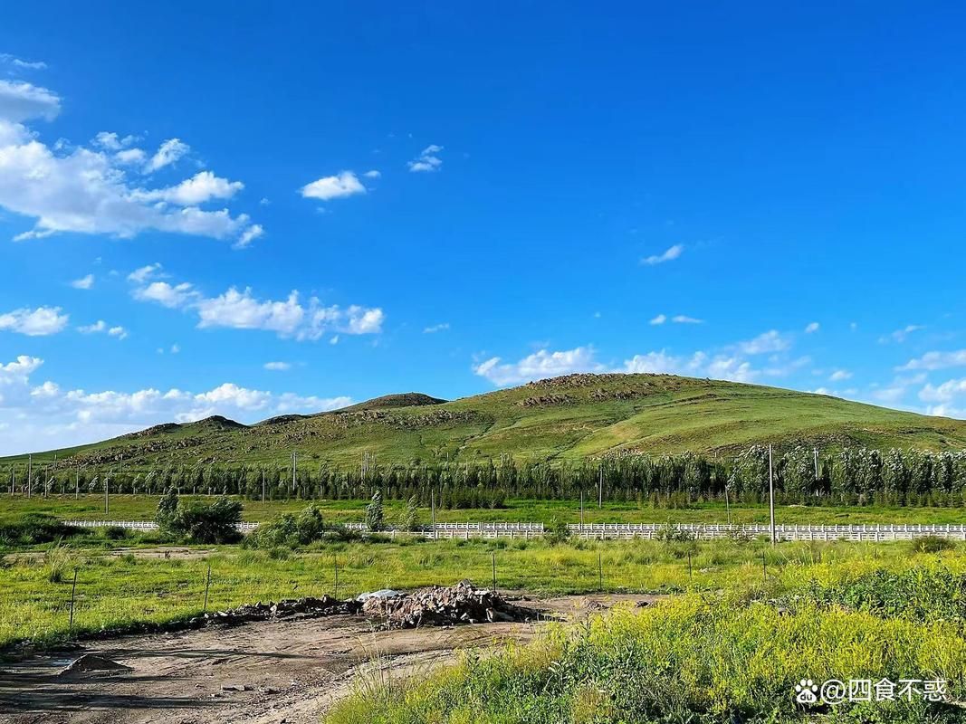查找最新疫情内蒙古自治区锡林郭勒盟正镶白旗_锡林郭勒盟正镶白旗有哪些乡镇