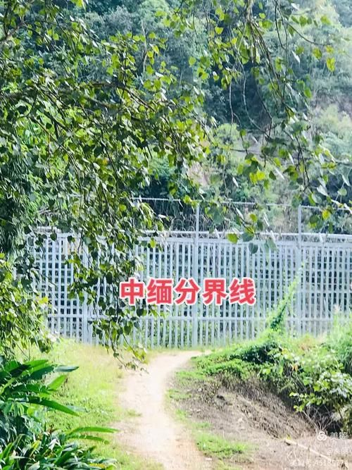 云南西双版纳傣族自治州静默标准最新公布(西双版纳禁毒)