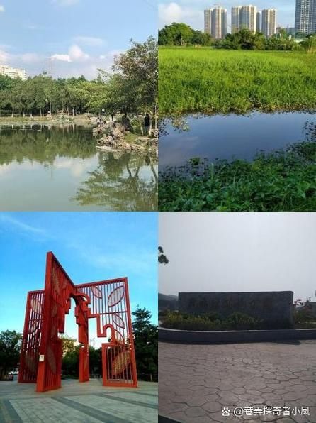 滨江区新增18例无症状感染者,涉及开平:开平滨江公园在哪里