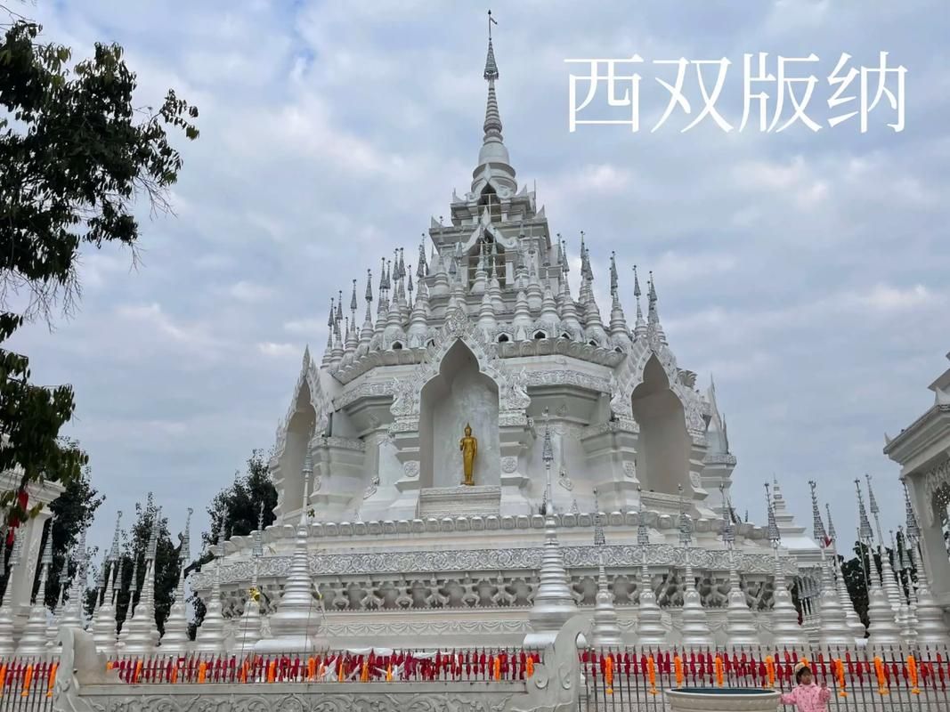 多地新增重症4例西双版纳傣族自治州9例:西双版纳近期病毒是什么