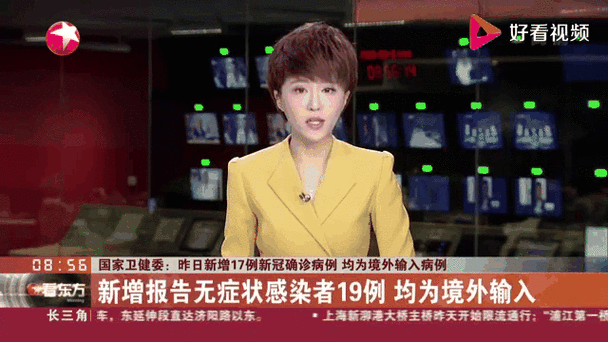多地新增确诊19例均为境外输入/2020年境外输入病例