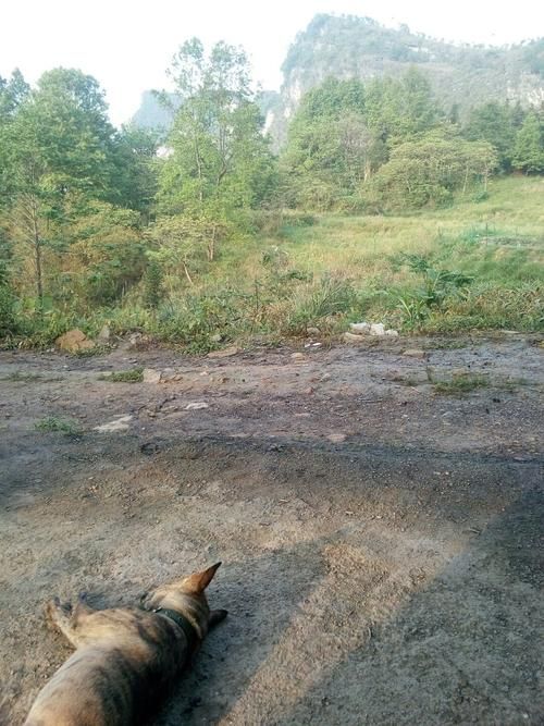 广西壮族自治区河池市环江毛南族自治县疫情怎么查风险地区_广西省河池市环江毛南族自治县