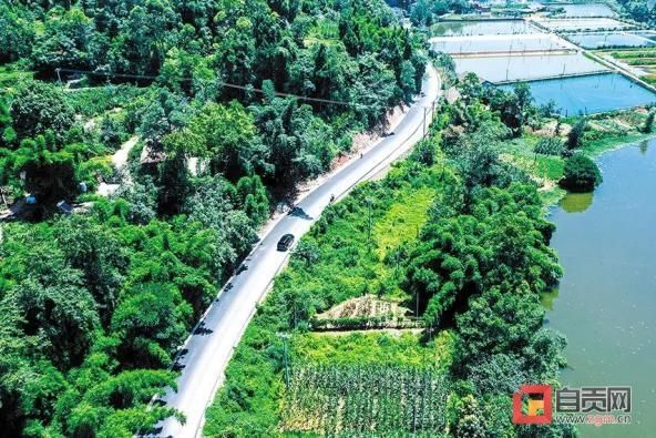 四川自贡富顺县最新疫情临床(四川自贡富顺最新消息)