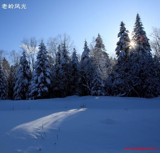 查找最新疫情吉林省延边朝鲜族自治州安图县(延边朝鲜族自治州 安图县)