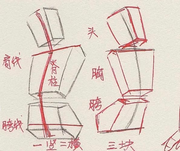 多地今日新增23例无症状感染者/人体结构几何体速写