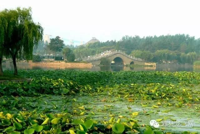 【沛县新增16例本土确诊,涉及贺兰县,沛县7天预报最新更新】